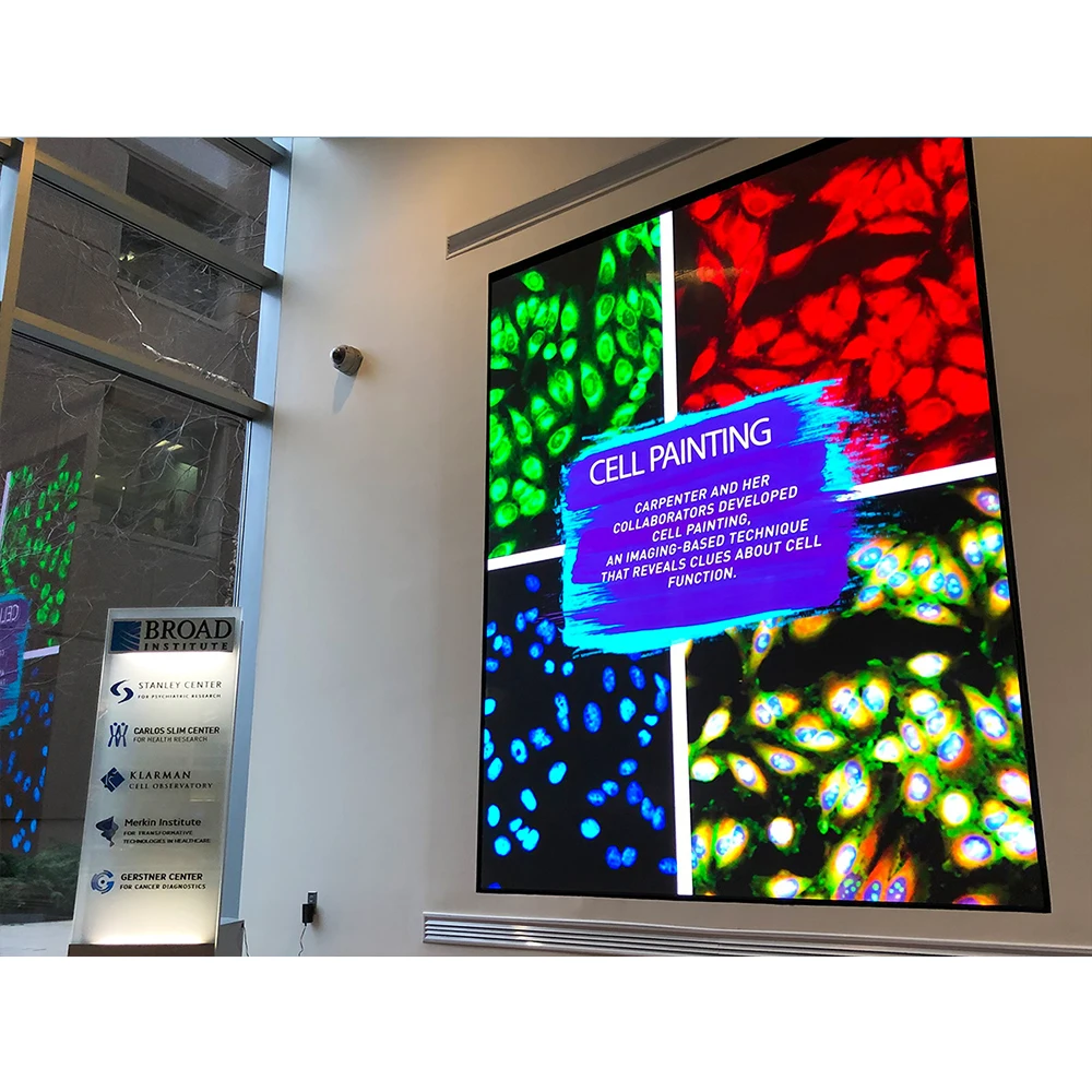 ممتاز HD LED كامل اللون داخلي P2.5 وحدة 320X160 SMD2121 32Scan 128*64 بكسل عرض لوحة فيديو RGB مصفوفة شاشة الحائط #6