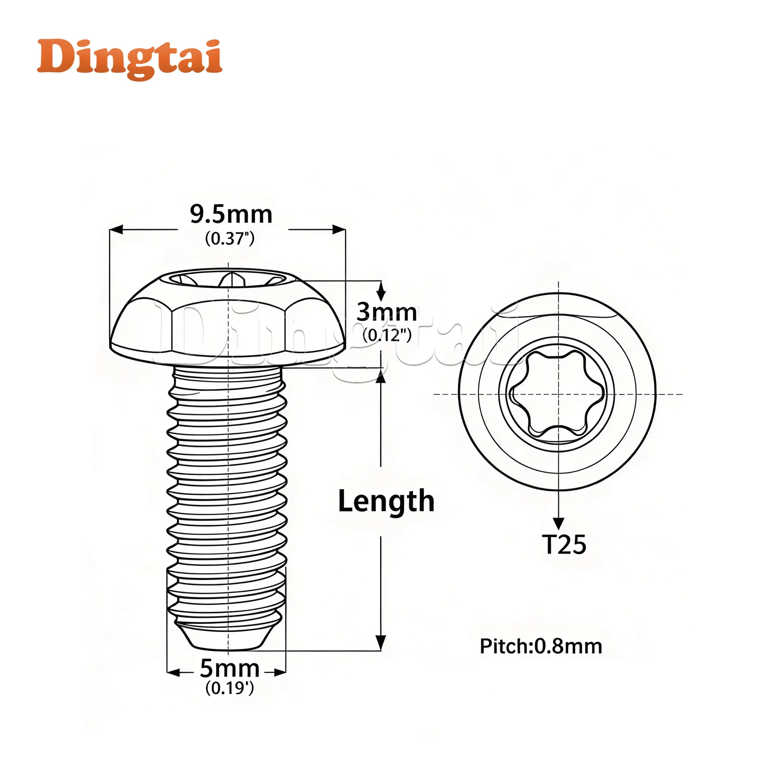 Titanium Bolt 5/10 PCS M5x10 /12mm  T25 Torx Head Screw Ti  for Bike Bottle Holder Installatio