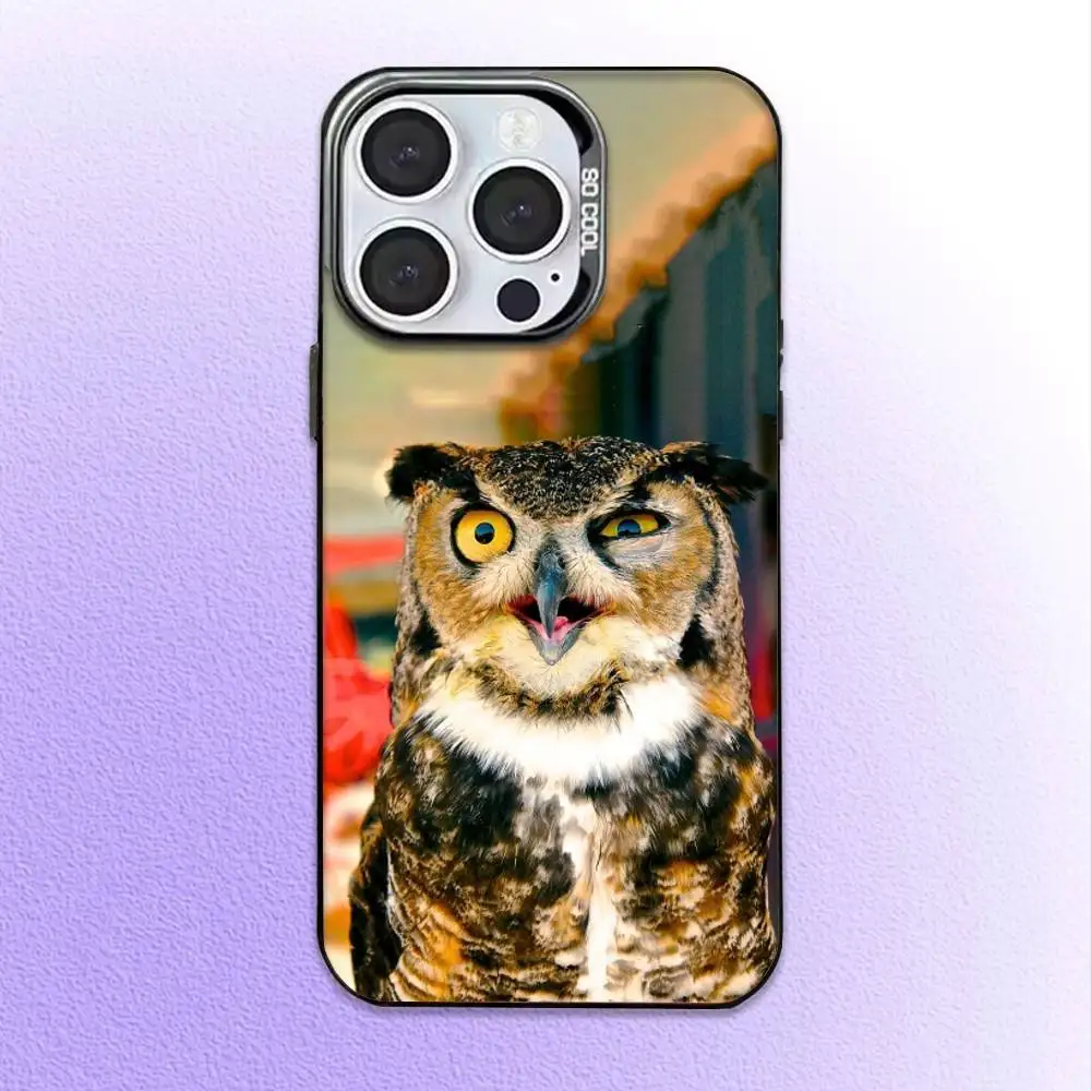 Pet Cute Owl Phone  Phone Case  For iPhone17,16,15,14,13,12,11 Plus,Pro Max Black Candy Matte Shockproof Cover