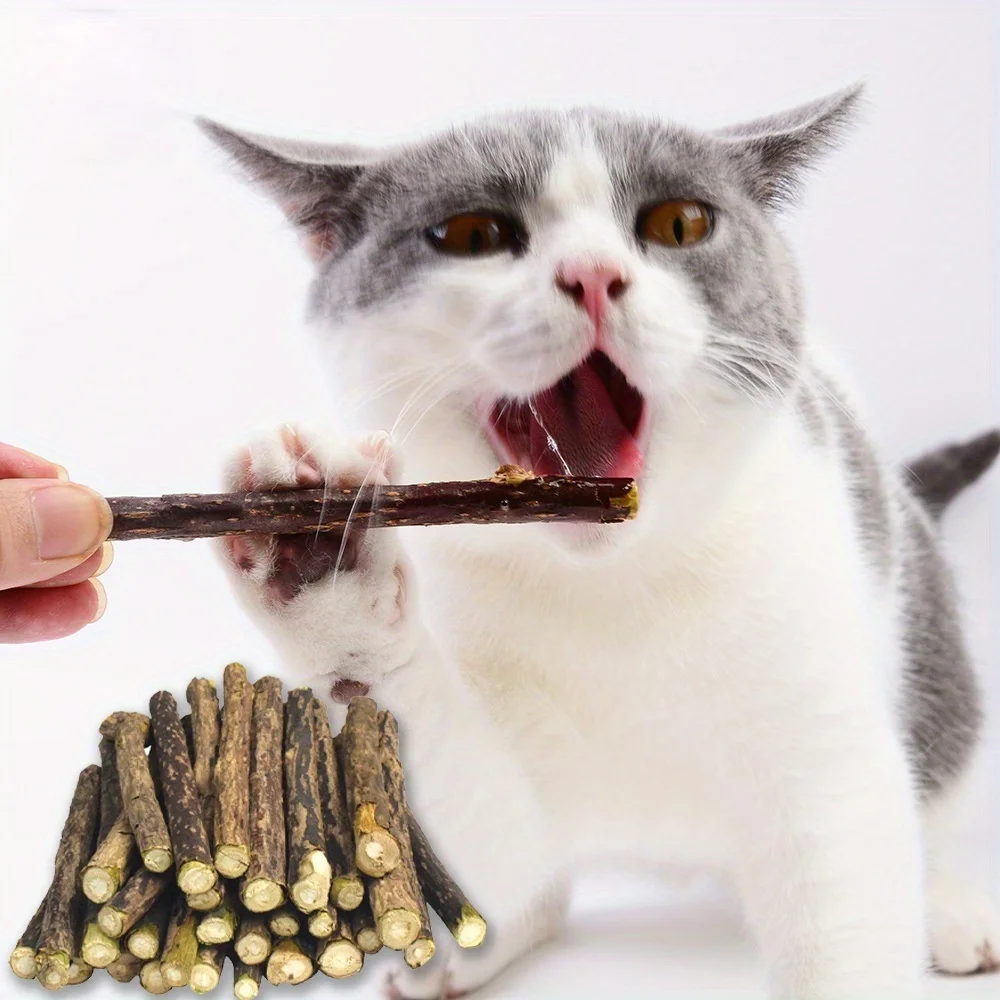 20pcs/2bags Hot Pure Natural Catnip Pet Cat Toy Suit Safety Molar Toothpaste Branch Cleaning Teeth Silvervine Cat Snacks Sticks
