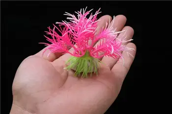 12 最佳銷售 水族箱種子 - №8