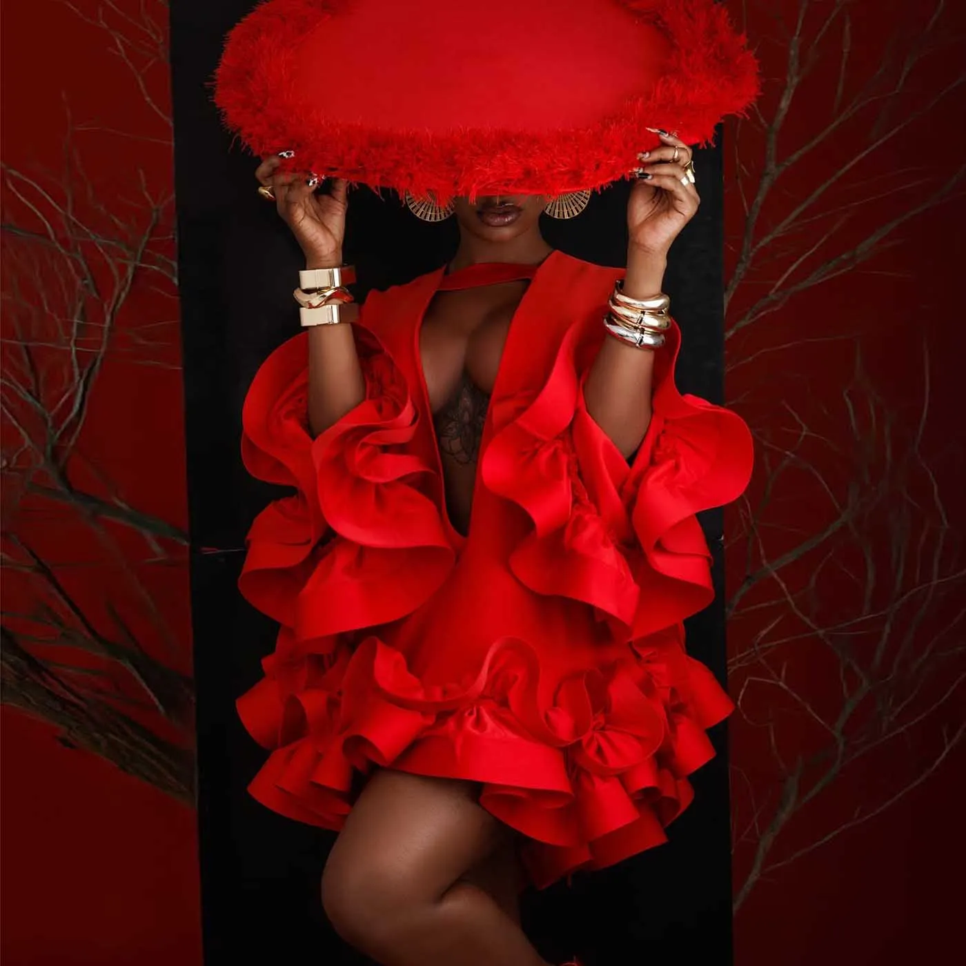 Fabulous Red Ruffle… - image