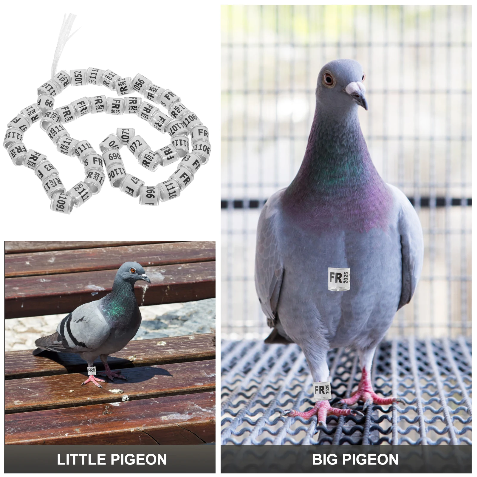 

50 pcs Racing Pigeon Anklet Bird Ring Chicken Adjustable Poultry Leg Bands Pigeons Rings Foot Aluminum Plastic Durable