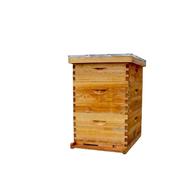 Beekeeping Tools, Boiled Wax Beehive, Chinese Fir, Italian Bee, Medium Size Bee Standard Ten-frame Beehive, Bee Honeycomb