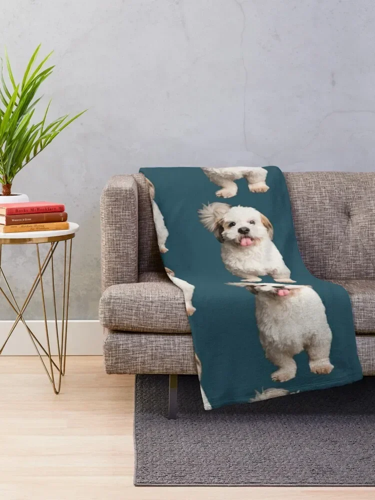 Shichon mignon, la vie est meilleure avec un Shichon, amoureux des chiens, la vie est meilleure avec Throw Blanket