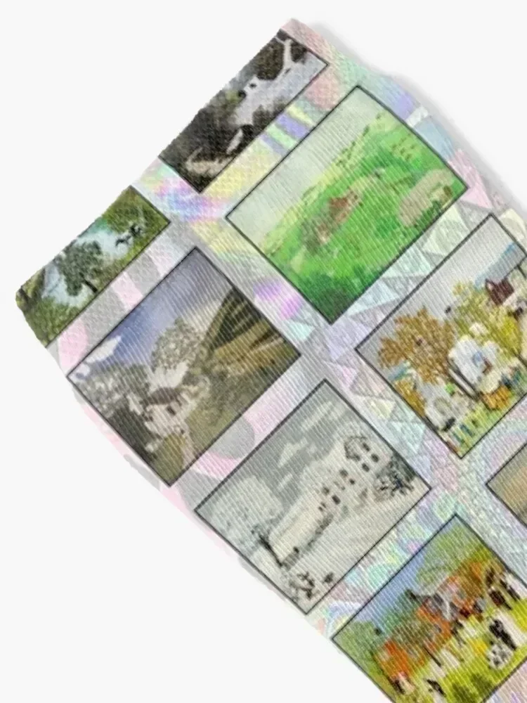 Grandma Moses Socks funny sock football sport Christmas Man Socks Women's