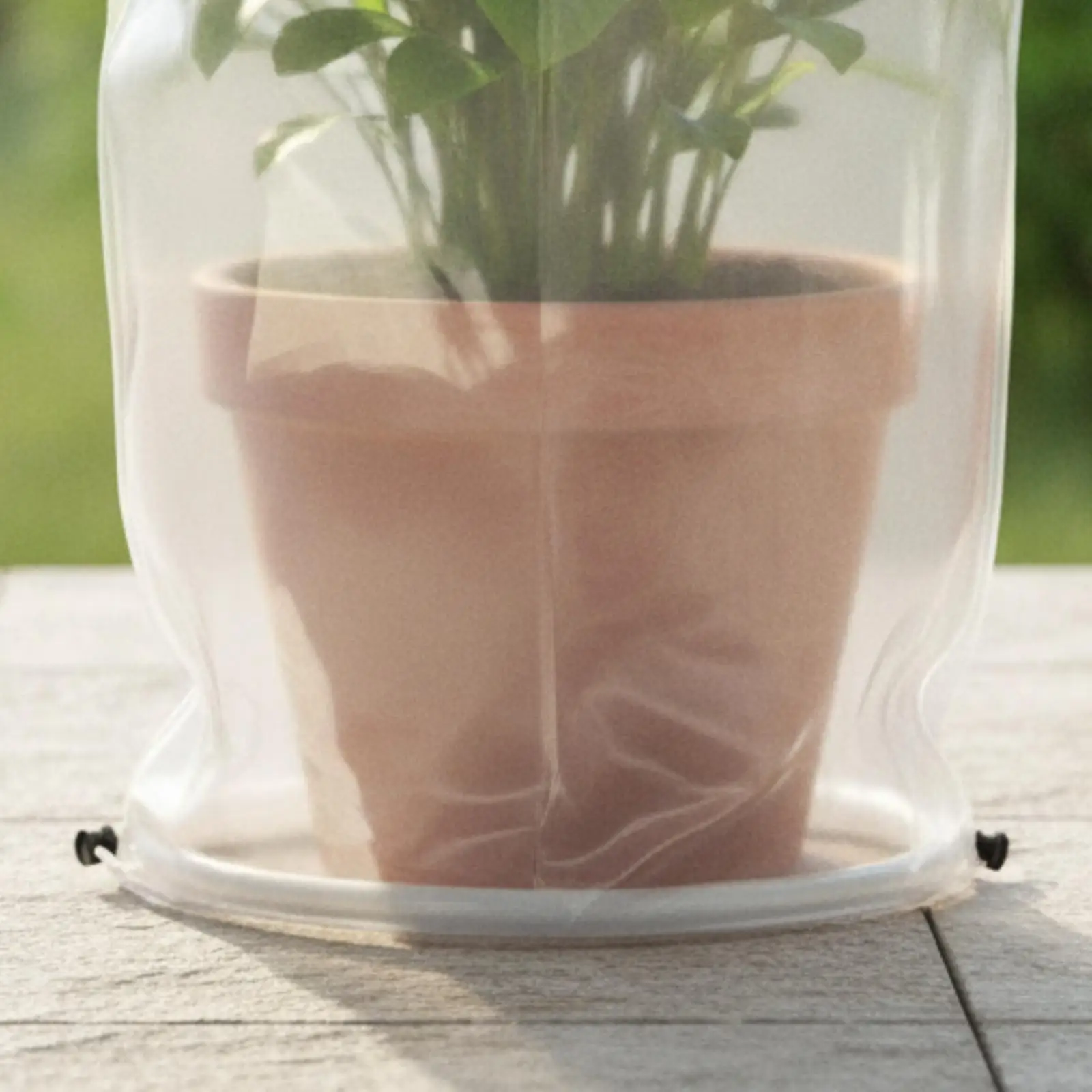 PE Plant Cover for Frost Protection Outdoor Transparent Garden Bag with Drawstring Winter Freeze Guard for Shrubs Young Trees
