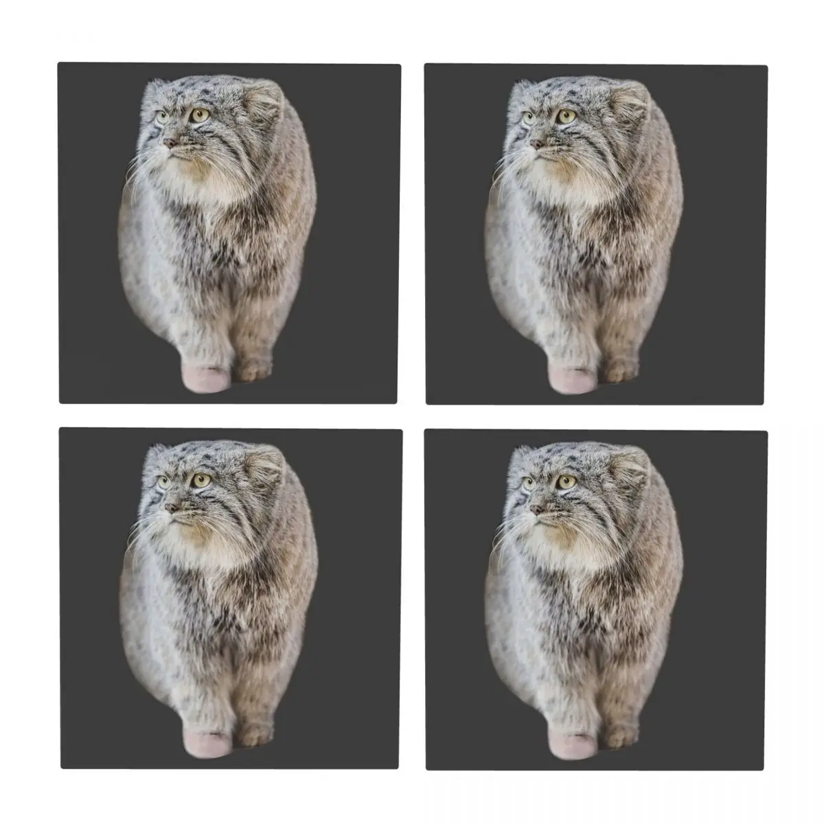 

Круглая подставка Pallas Cat, керамика, термостойкий коврик, украшение стола, посуда для кухни, салфетки для обеденного стола, кофейный коврик