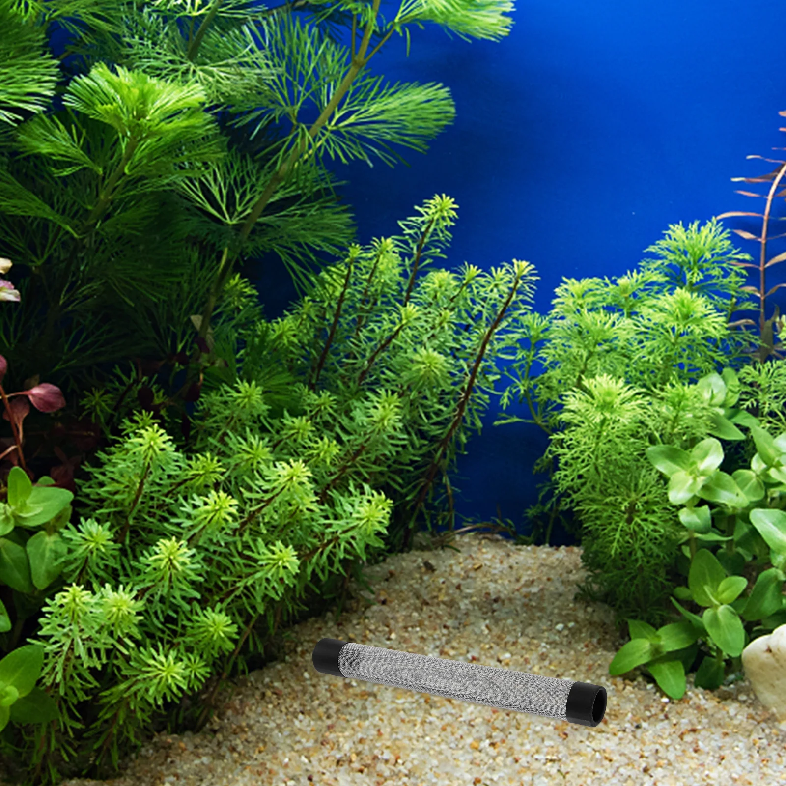 

Metal Intake Strainer for Fish Tank Filter Stainless Steel Mesh Guard Fine Cover for Shrimp Aquarium Turtle Tank Canister