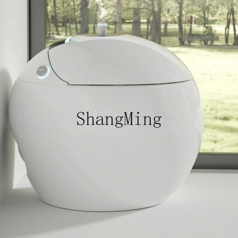 

FG Creative Design Smart Toilet Integrated Aromatherapy Atomization System Household Bidet