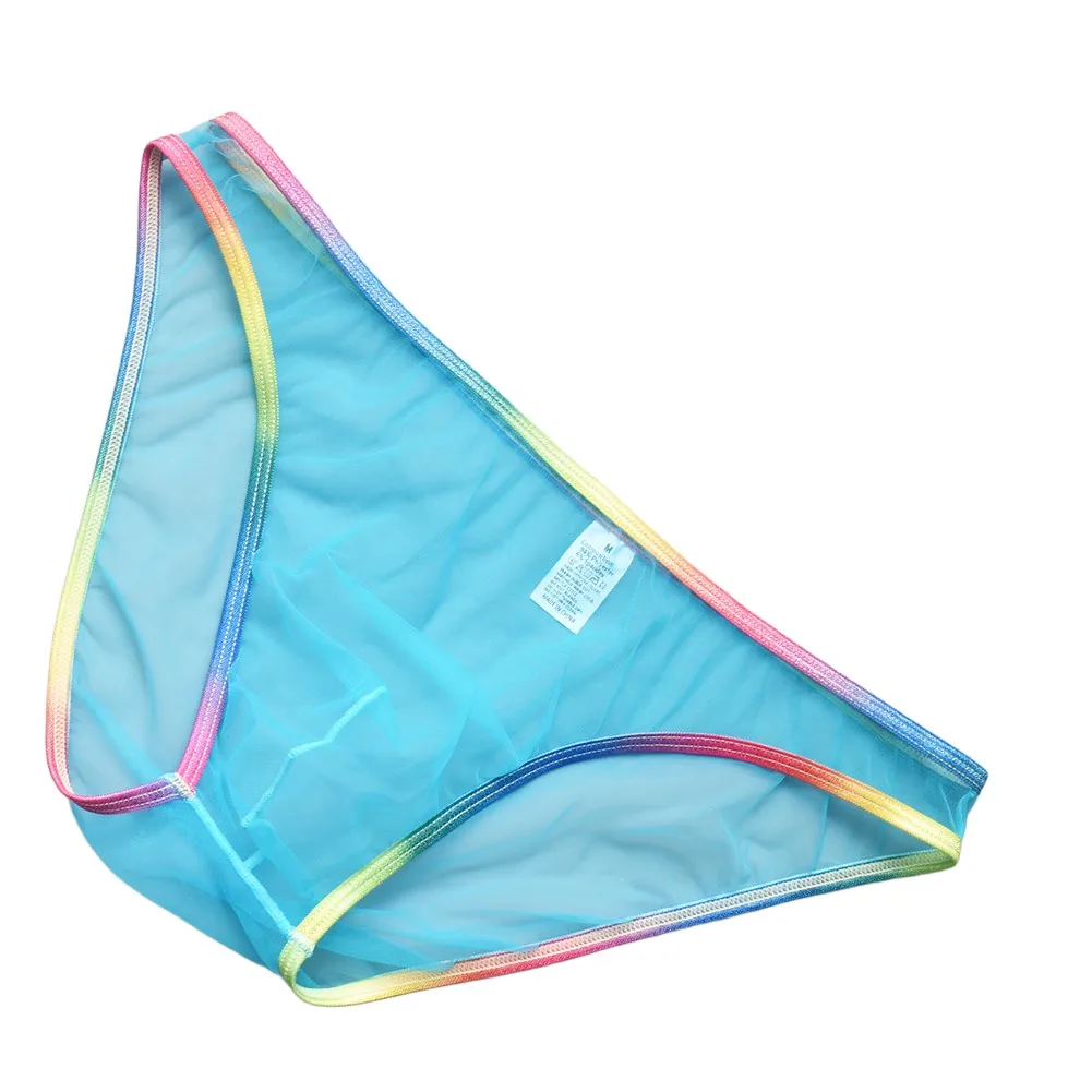 

For All Seasons For Daily Wear Sexy Mesh Underwear Solid Briefs Daily Wear Low Waist All Season Polyester Spandex Blend