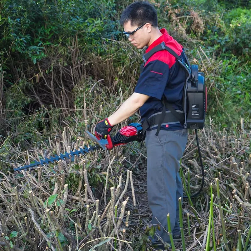 

Nplus 43cc Manual Brush Cutter Backpack 1.2kw Hedge Trimmer NPLUS Manufacturer