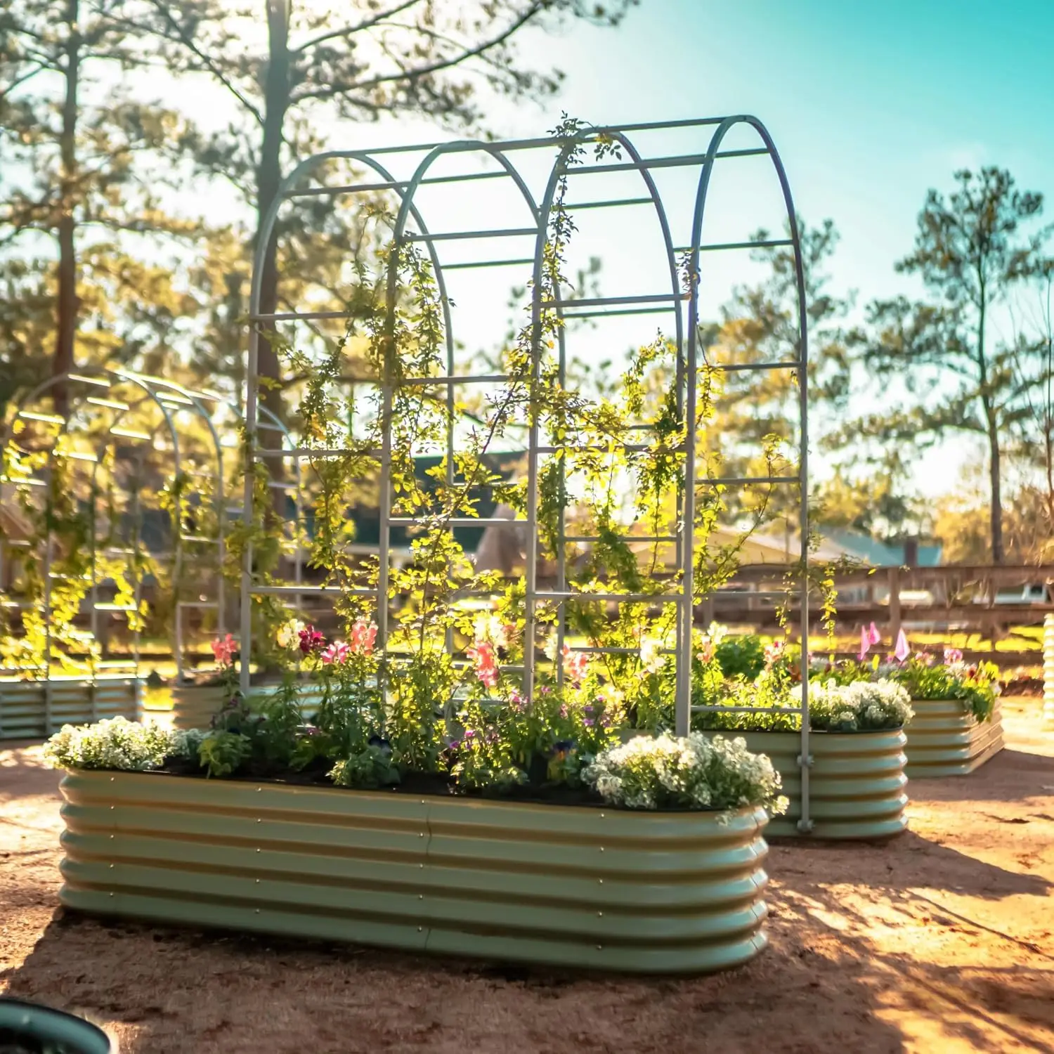 1.5' Long Modular Arched Trellis System for All Classic Garden Bed for Climbing Plants Like Cucumber Beans Tomatoes, Customized