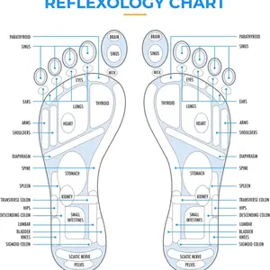 Magnetischer Fußmassagekissen, unentschiedener Teppich für Yoga, Fingerdruckplatte, Muskelrelaxation, Fußtrainingsinstrumente, Akupunkturpunkt -Massaguer 9 Hauptverkaufsmagnetdecke für Massage - №2