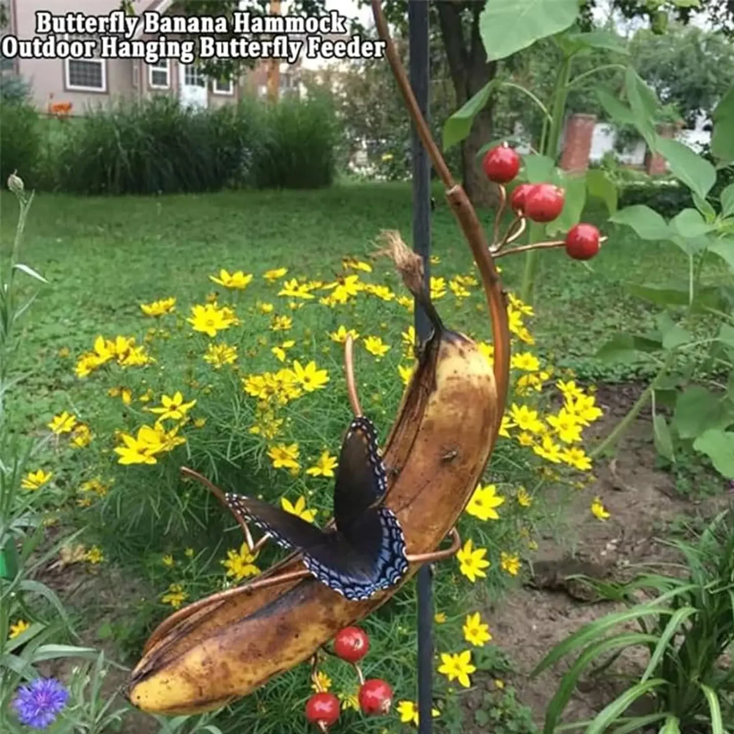 Butterfly Banana Hammock  Attractor  Feeder Holder Monarch Feeders for Outdoors Attract Butterflies Monarch to Your Garden