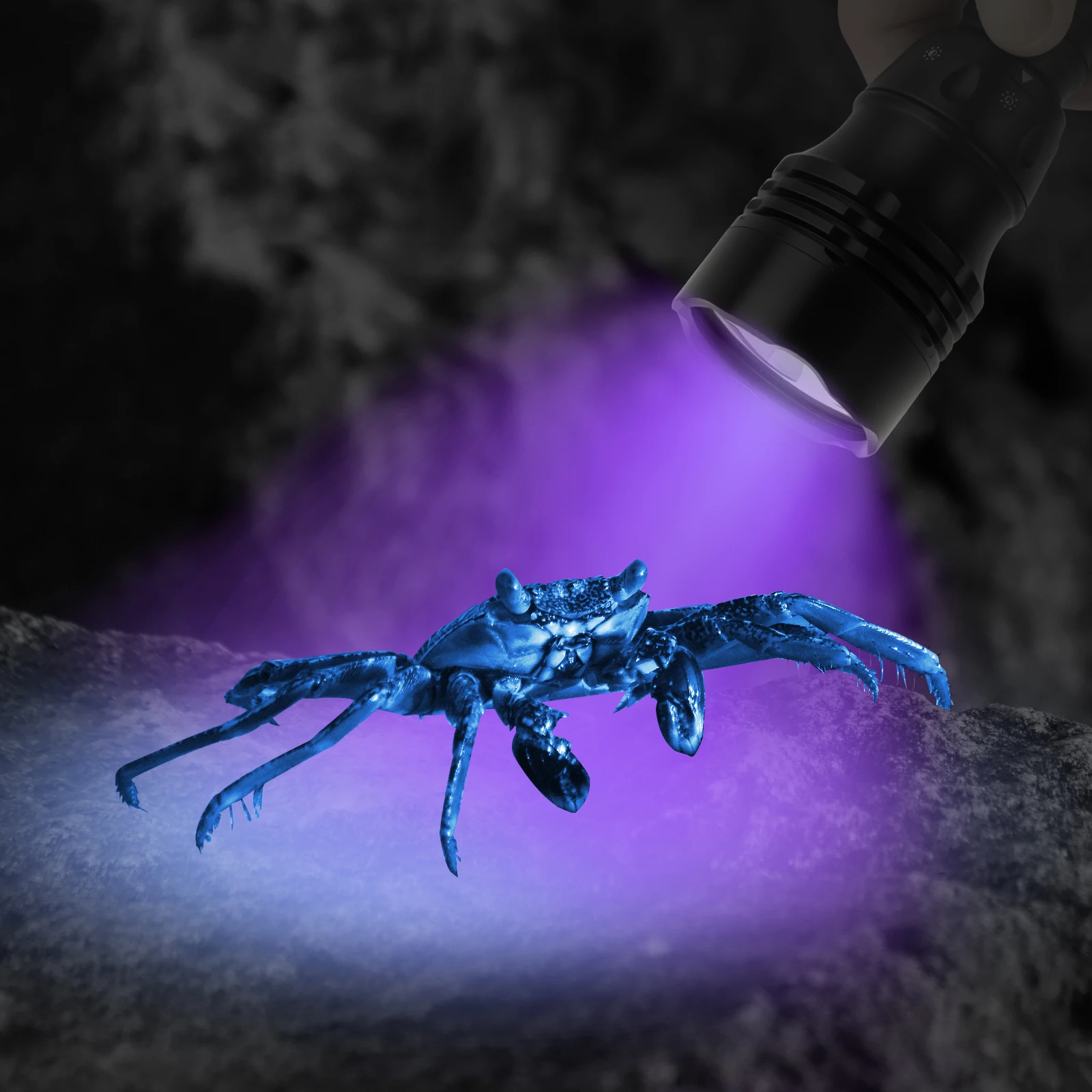 395 nm Mini-UV-LED-Schwarzlicht-Taschenlampe für Haustierurin, Uranglas, Leckerkennung, 5 Modi, Aluminiumlegierung, LED, Schwarzlicht, UV-Lampe