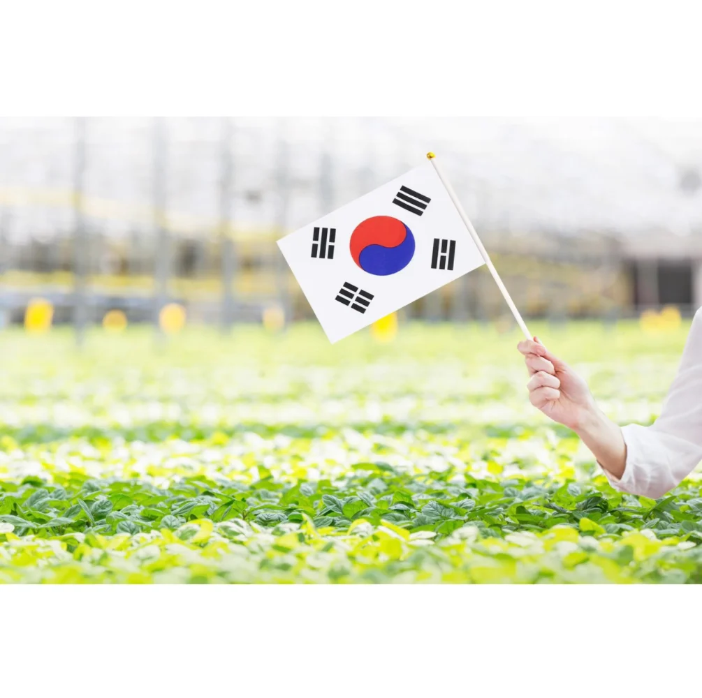 Korean  flag 14x21cm Kor Kr South Korea Flag  30cmPlastic flagpole hand waving nationalKorean  flag   flag activity parade sport