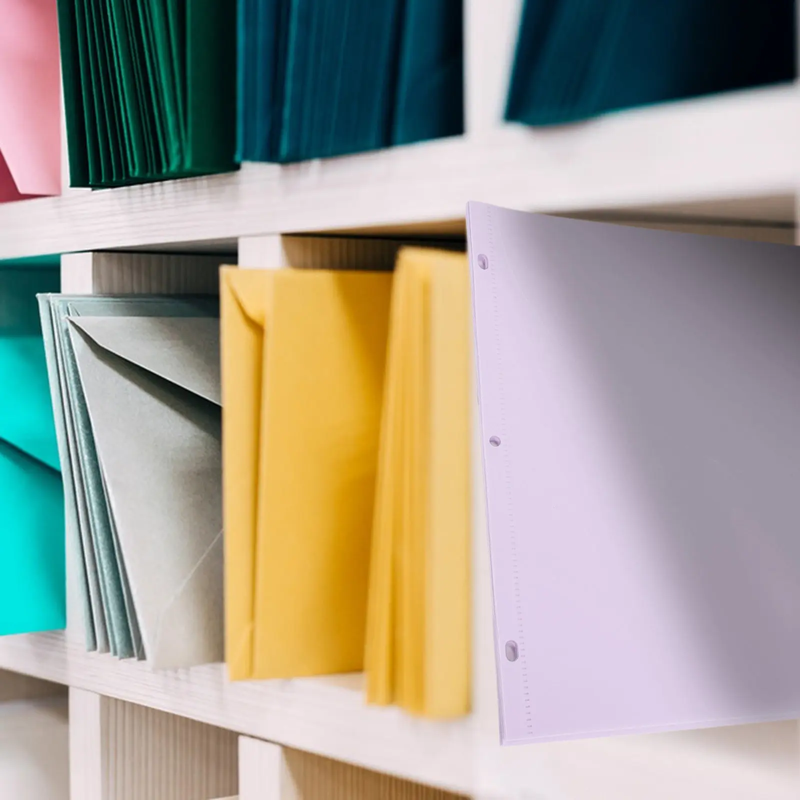 

12Pcs File Organizer Binder Pocket Dividers Budget Plastic Binder Sleeves 3-Hole Loose Leaf Document Folder Inserts for Work