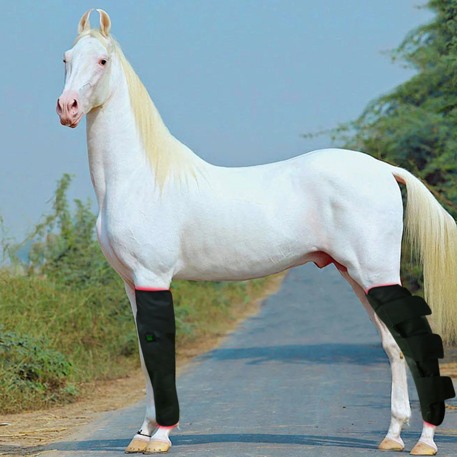 Professional Factory 660nm 850nm Horse Accessories Tendon Leg Sleeve Horse Equipment Horse Racing Thigh High Boots view 2