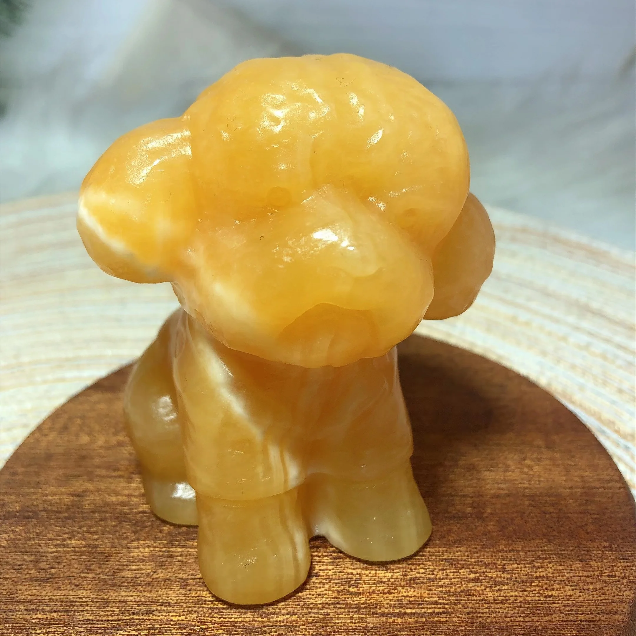 

Healing High Quality Natural Orange Calcite Teddy Dog Carved Crystals Home Decorations Animal Room Decor