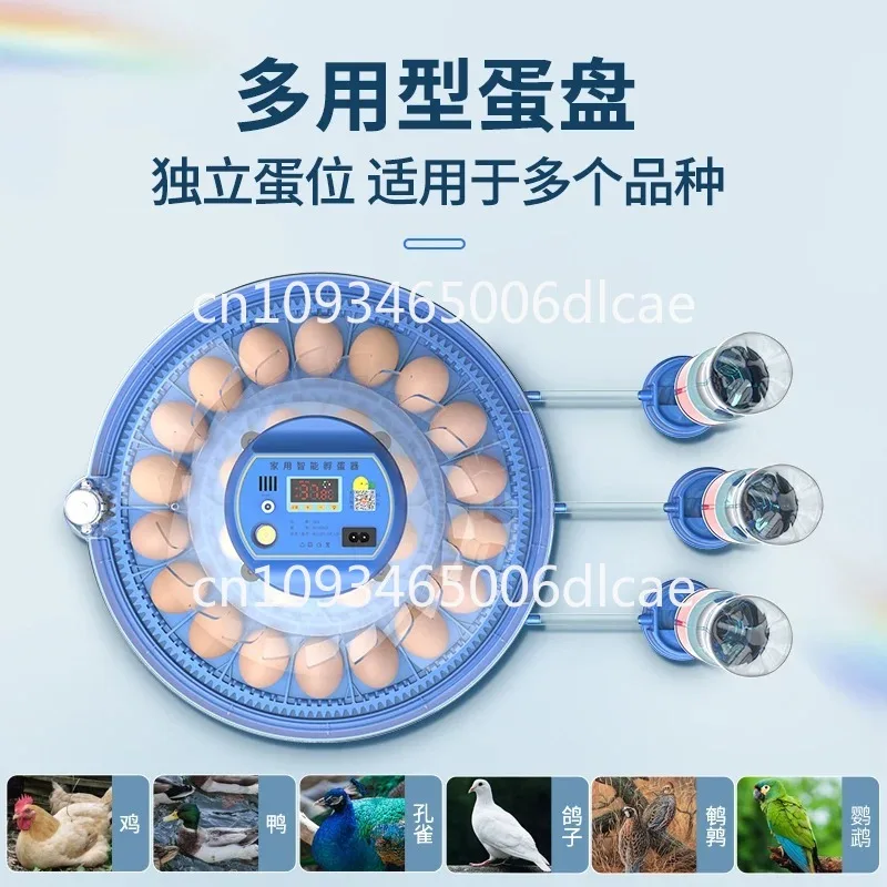 Small UFO incubator, small household type automatic intelligent egg incubator, chicken duck, rutin chicken incubator, incubator