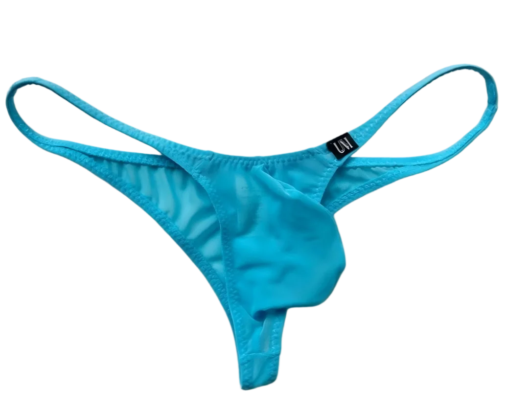 Men's Solid Color Low-Rise Thong Underpants Comfortable Sexy Transparent Mesh Fabric Briefs  For  Mens