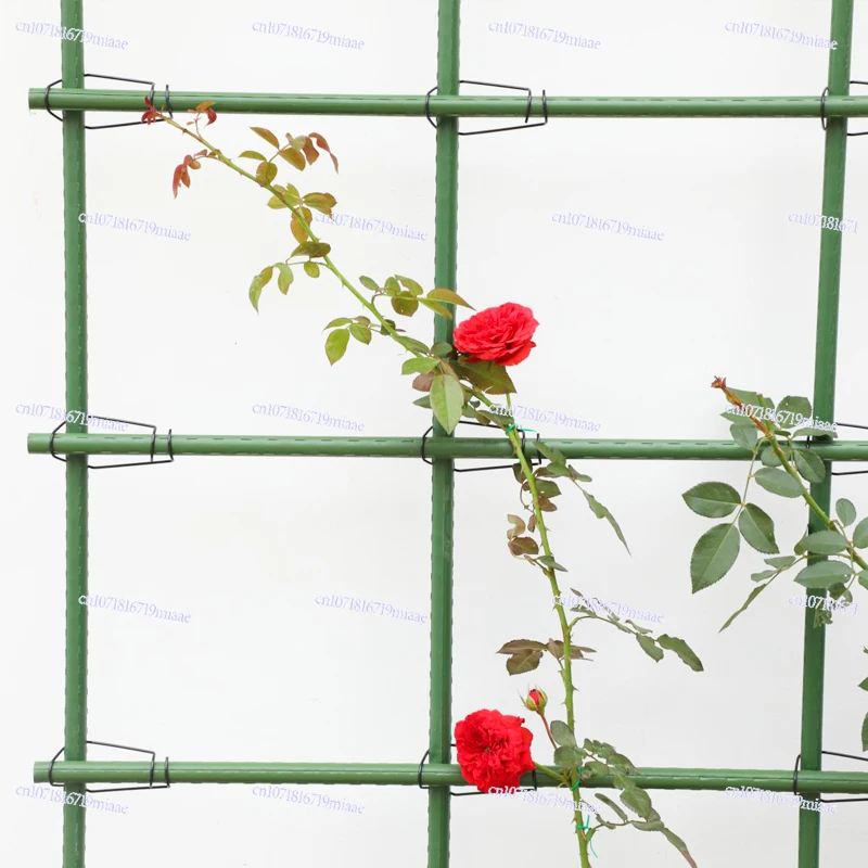 flower stand, vine climbing stand, clematis climbing frame, balcony courtyard