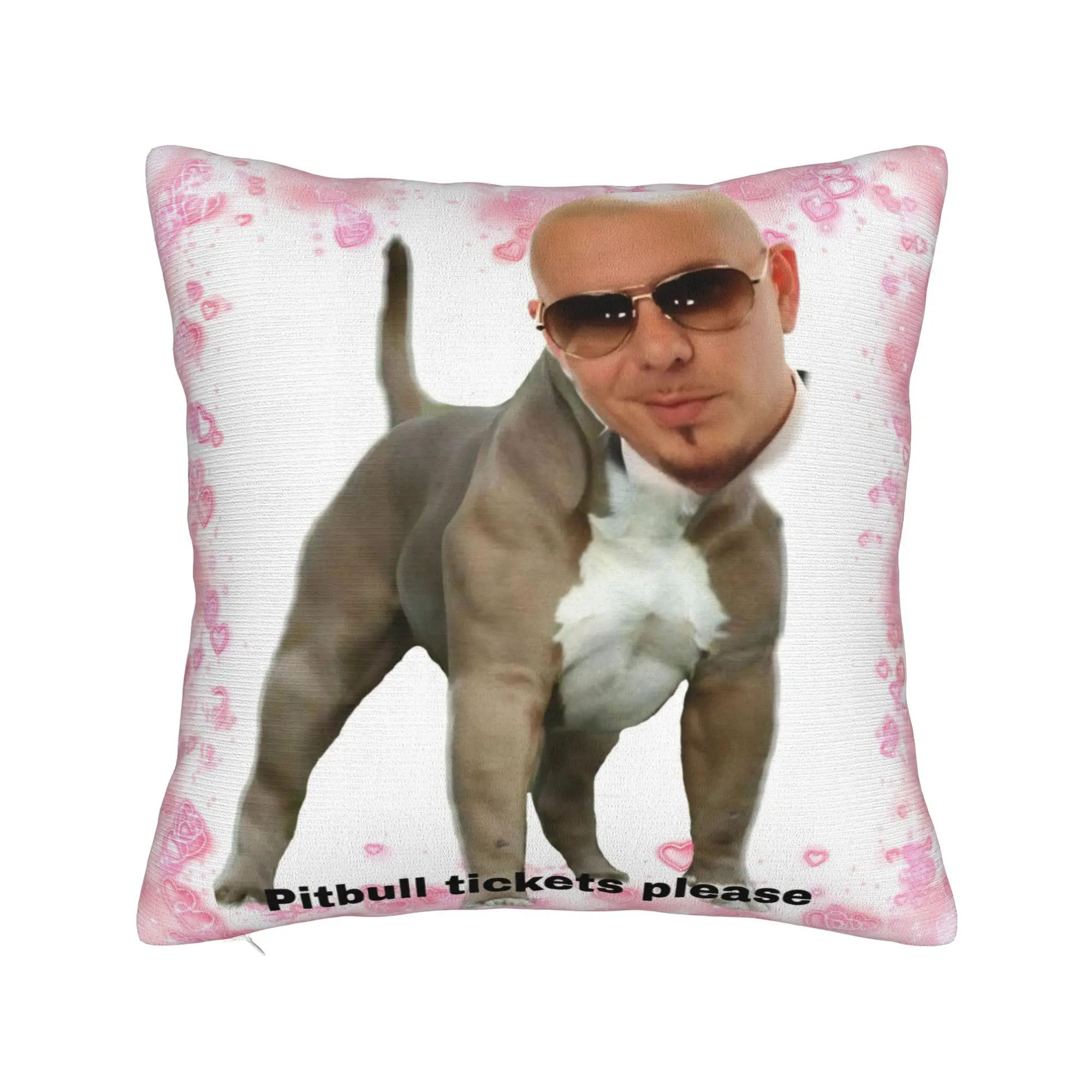Singer Pitbull Tour 2026 Pillowcases Product Soft Cushion Cover Gift  Pillow Case Cover Home Multi-Size