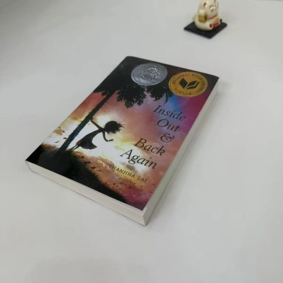 

Книга «Внутри и снова обратно» в мягкой обложке на английском языке