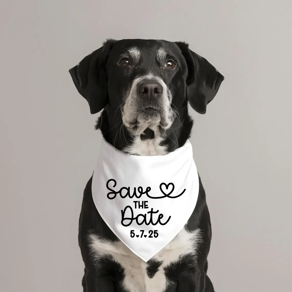 Save The Date Hundehalstuch, Hochzeits-Haustier-Dreieckstuch, personalisiertes Welpentuch für kleine, mittelgroße und große Hunde