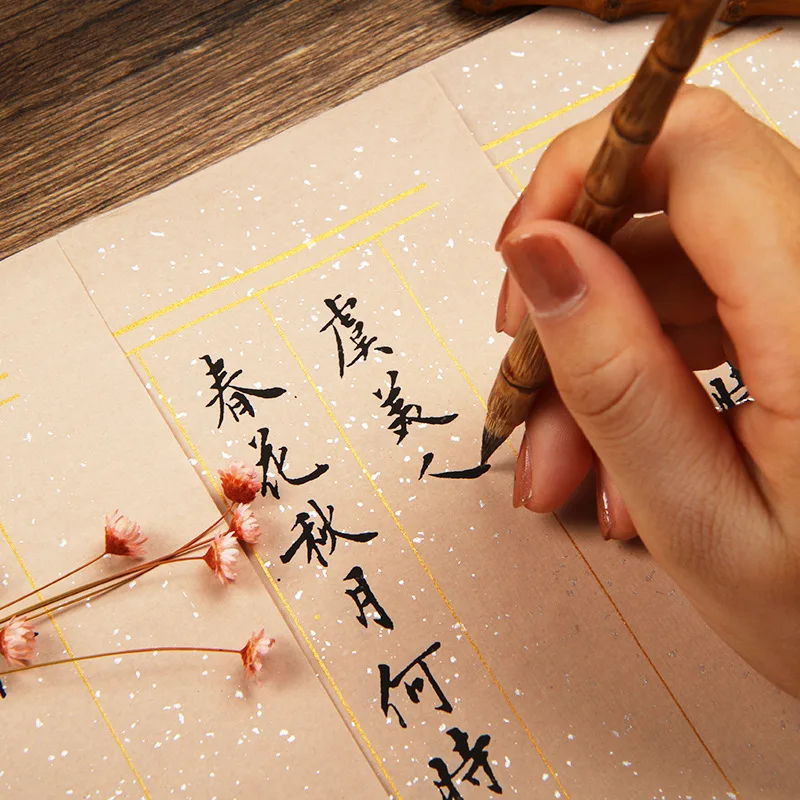 

Su Shi Li Yu Li Qingzhao Poetry Calligraphy Copybook Small Regular Script Brush Pen Practice Pastel Spotted Gold Xuan Paper