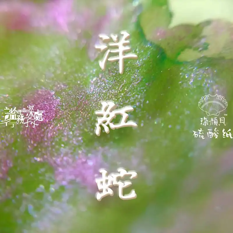 Big Bottle 60ml Chinese Style  Gradient Change Shading Color Ink With Glitter Powder , Dip Pen Ink