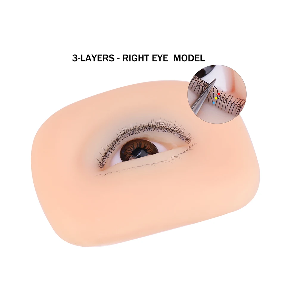 3 Layers Lashes Reusable Mannequin Eyes Eyes Model Doll Face Head Eyelash Extension Training Simulated Silicone Eye Makeup Tools image 3