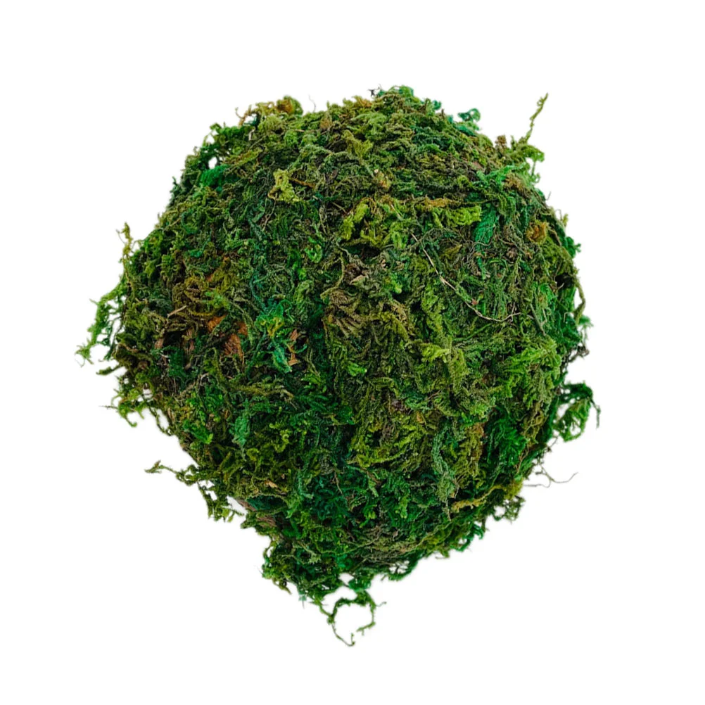 

Reptile Hideout House Hamster Decor Turtle Habitat Water Hiding Cave Coconut Shell Gecko and Basking Platform