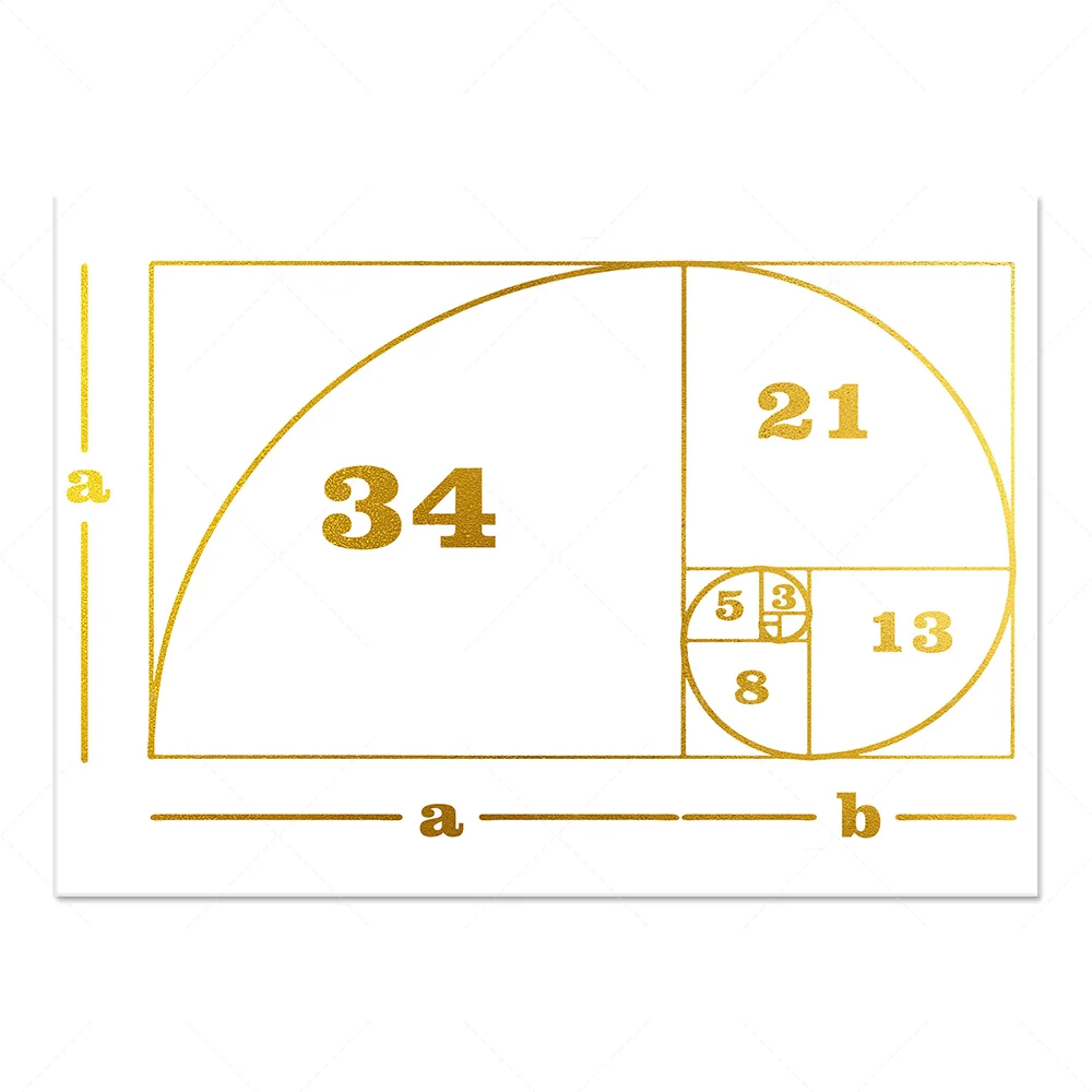 Fibonacci spiral sequence geometric art math poster medical watercolor canvas print picture