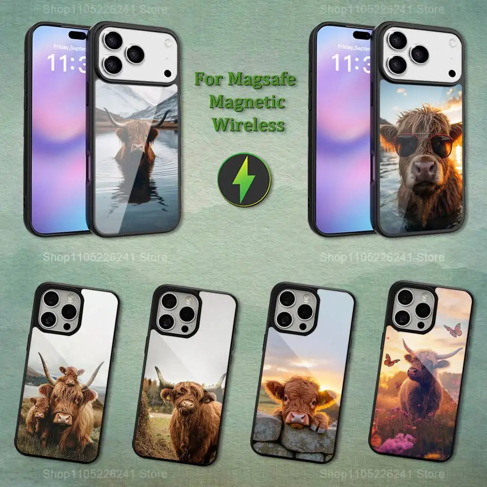 

Cute Animal Highland Cow For iPhone 16,14,13,15,11,12,17,Plus,Mini, Pro,For Magsafe,Max,Magnetic Wireless Charging Case