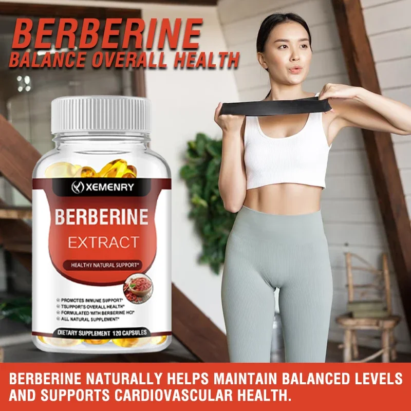 Berberine-capsules - Ondersteunt de bot- en cardiovasculaire gezondheid, bevordert het metabolisme, anti-oxidatie en verbetert de immuniteit