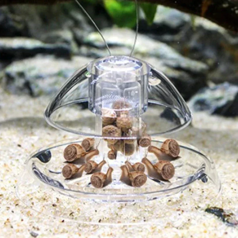 水槽用カタツムリ＆害虫トラップ-–-プラスチック製捕獲箱（プランアリア、ヒル、藻類除去用）