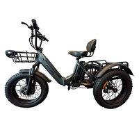 PULUMA SL001 Adult Electric Tricycle 500W*2 Motors 48V 13.5Ah Dual-Battery E- Tricycle 20*4 Inch Tires City Electric Tricycle