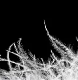 شاشة 6.86 بوصة وسائط متعددة للسيارة تعمل بنظام أندرويد لسيارة تويوتا لاند كروزر 70 1984-1998 وحدة رأس ستيريو راديو 1 Din Carplay GPS Wifi Autoradio