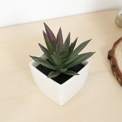 Mini Artificial Succulent Fairy Cup Small Potted Plant, Plastic White Vase, Desktop, Windowsill, Bookshelf Decoration