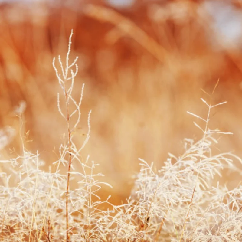 

MJX 1/12 H12Y H12Y+ RC Car Parts – Brass Rear Axle Cup and Gearbox Upgrade