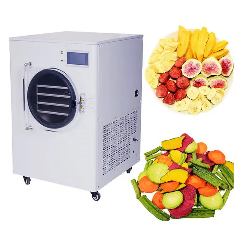 4kg-6kg Small Mini Home Vacuum Dryer Industrial Fruit Food  Dryer Machine