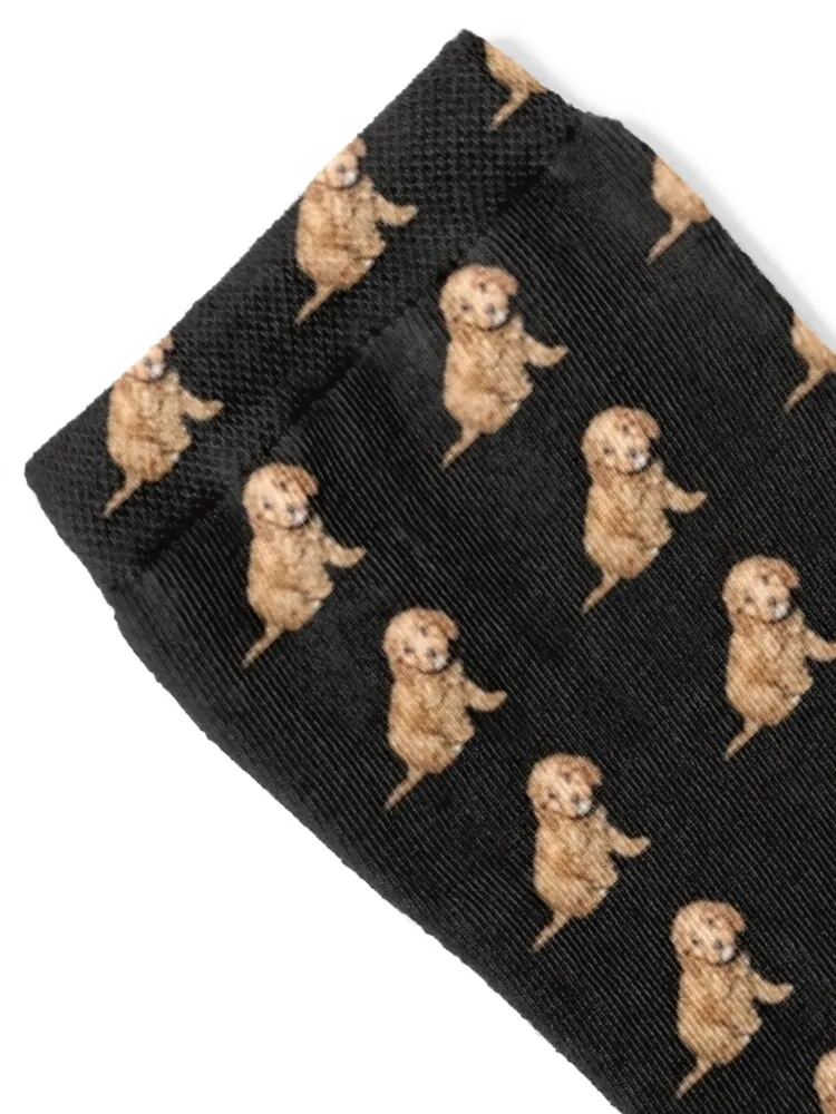 Taffy the Spoodle Pup - Cockapoo Puppy Socks short cycling christmas stocking Men Socks Women's