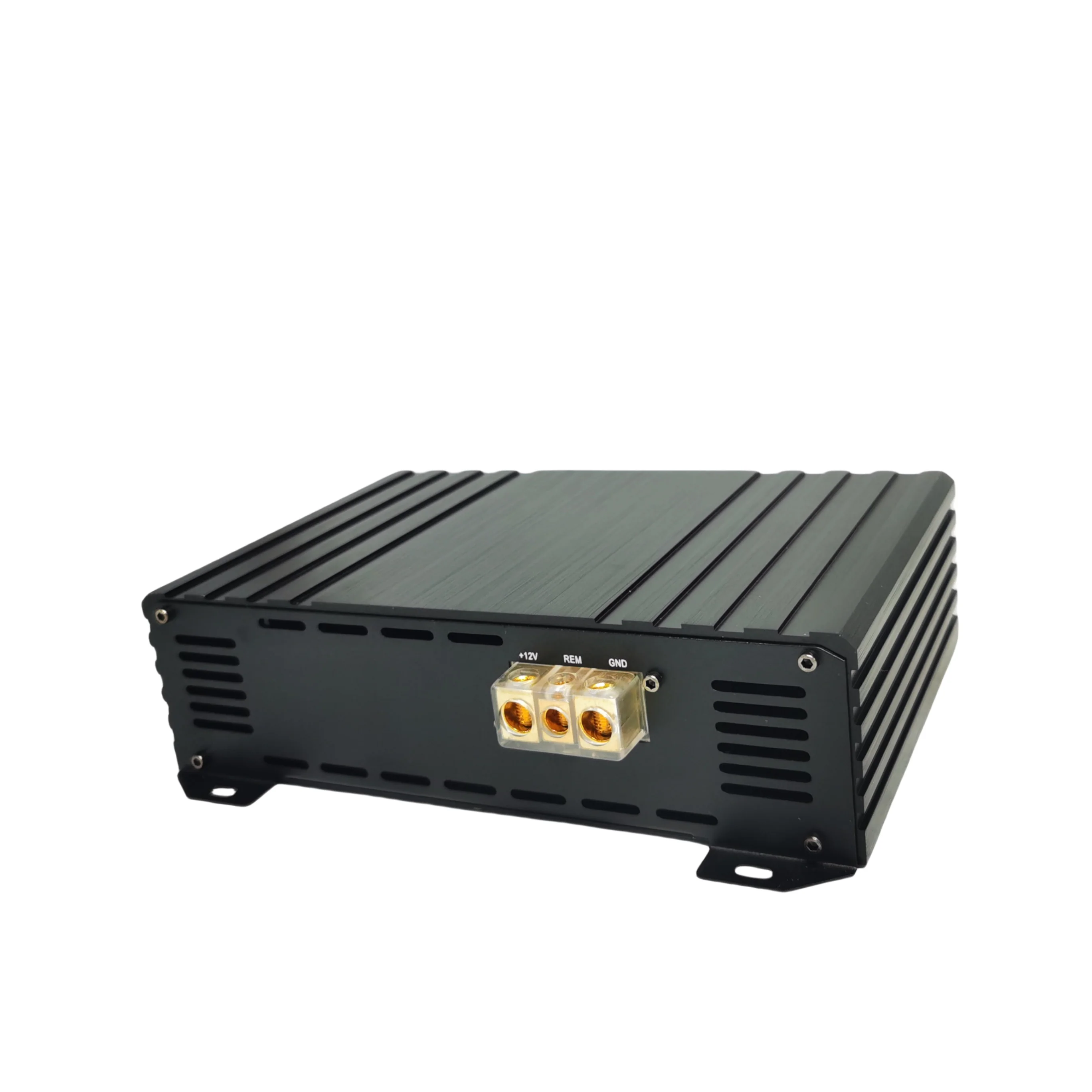 Factory Direct Powerful 2-Channel Car Audio DSP Amplifier with 1000W RMS Big Power Class D Amplifier and Crossovers Combination