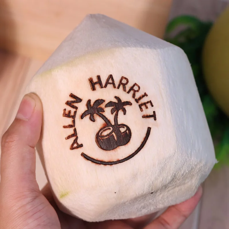 Custom Coconut Branding Iron Stamp Personalized LOGO Heating Stamps with Handle for Wood Leather Cake Hamburger Party Craft