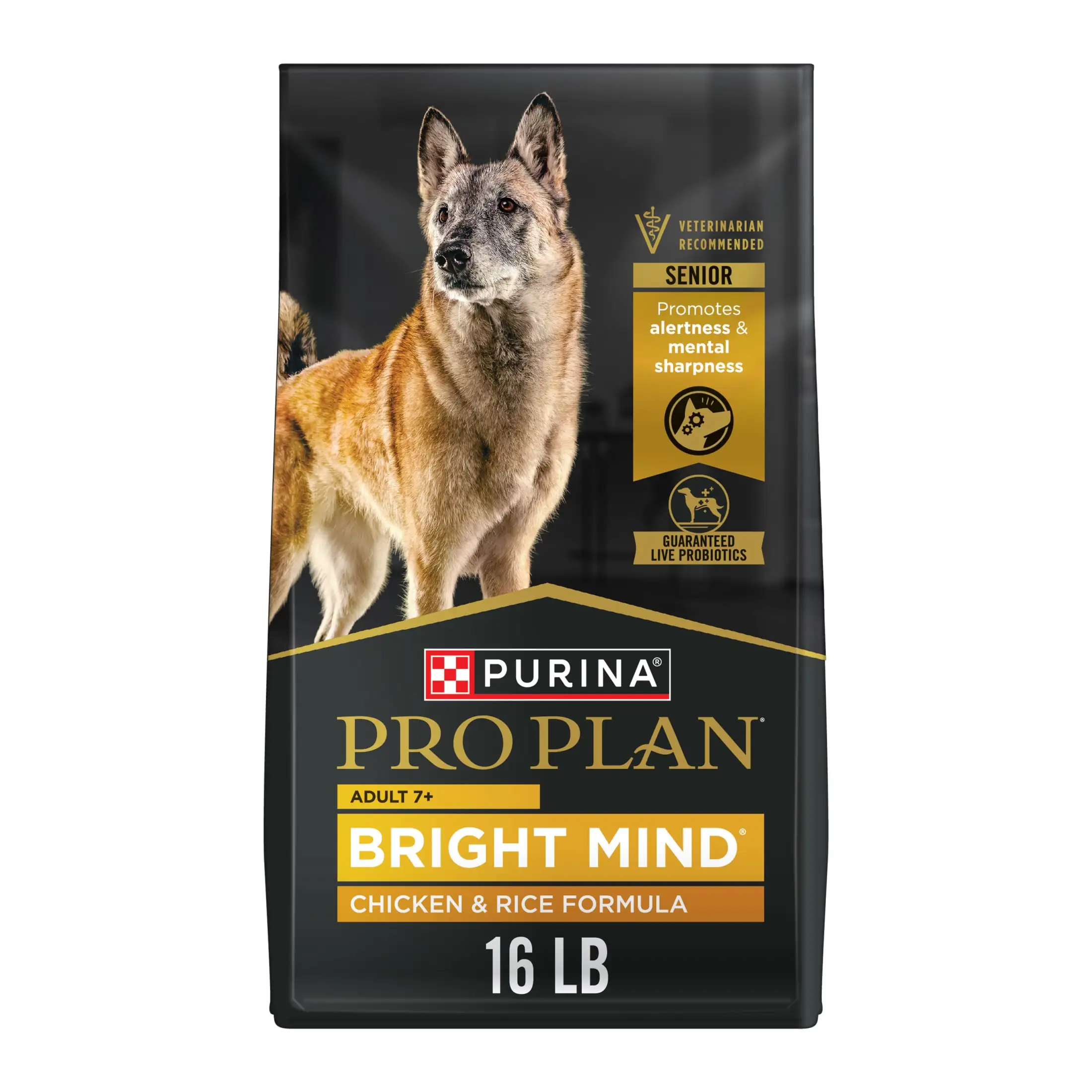 Bright Mind Adult Dog Food with Enhanced Botanical Oils 16 lb Bag