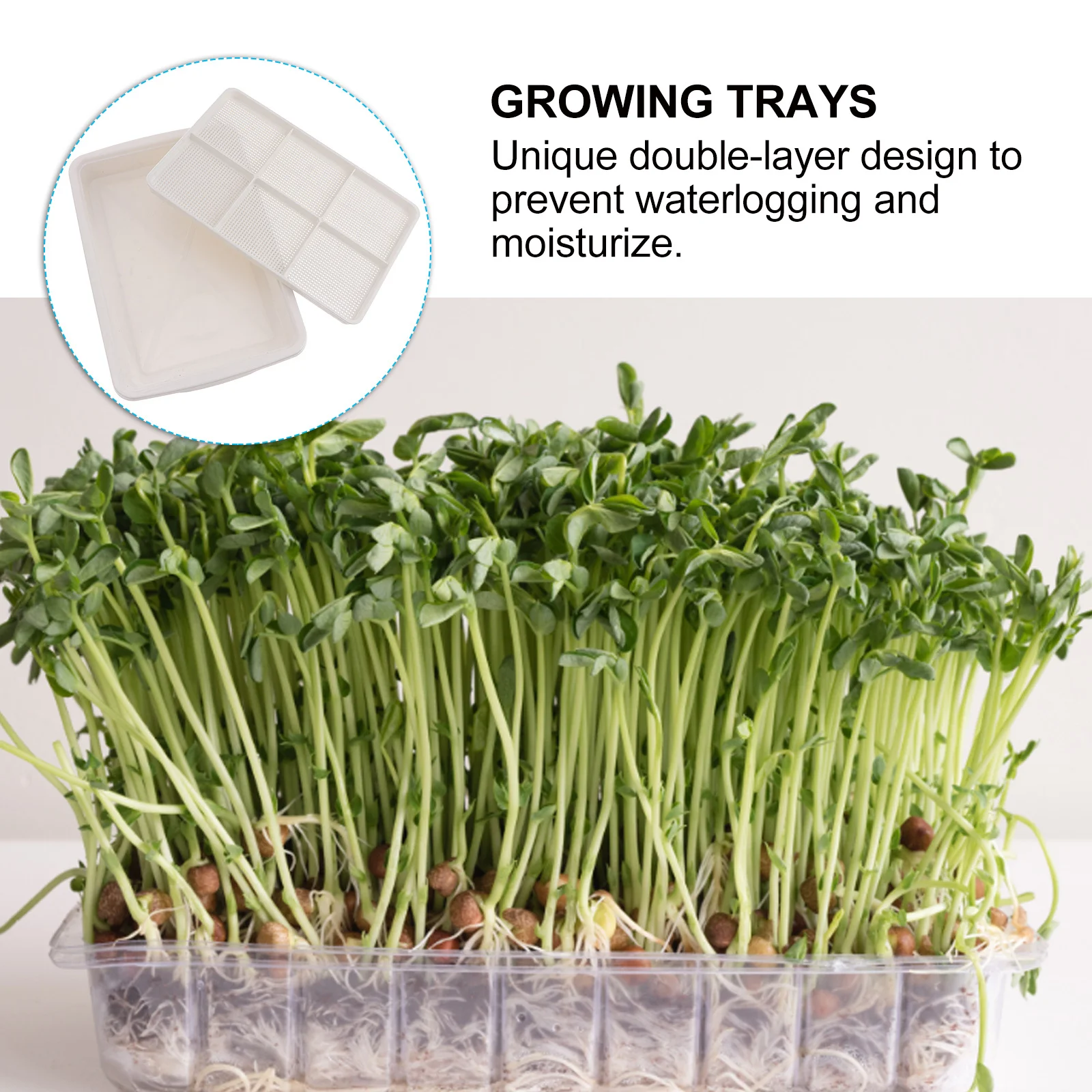

Plastic Balcony Sprouter Tray Double-Layer Transparent Hydroponics Germination Pot Storage Tray for Fruits Vegetables Growing