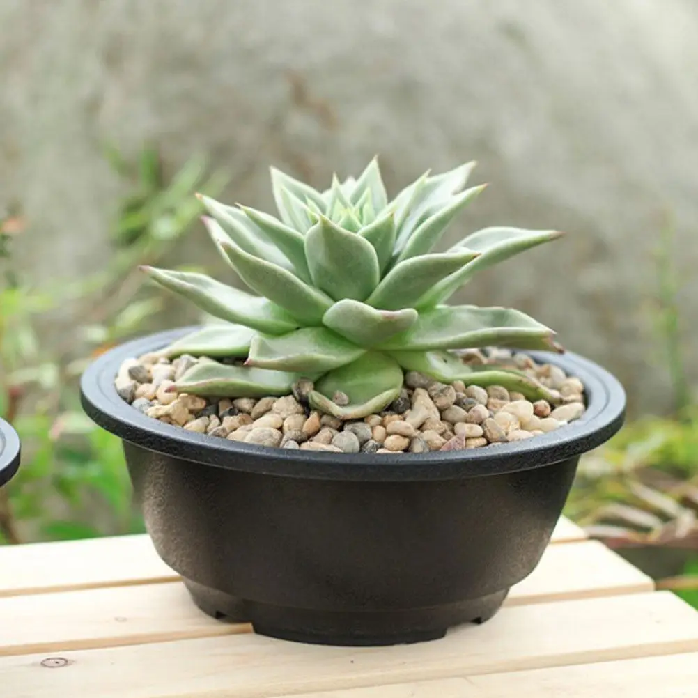 

Набор из 10 прочных круглых пластиковых горшков из АБС-пластика для небольших растений, суккулентов, кактусов, для гостиной, подоконника, питомника, садоводства