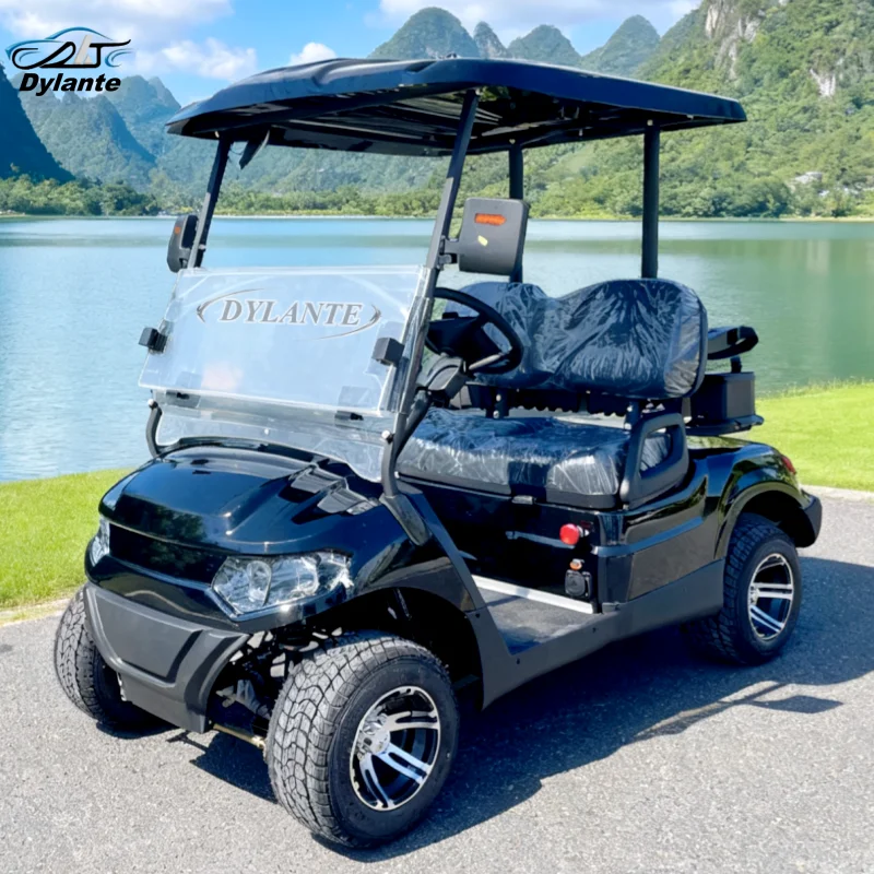 Customized Color Logo 4 Wheels Brand New Passenger 2 Seat Hunting Buggy Small Golf Cart Electric Mini Car 60V AC Motor